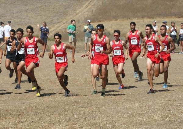 Men's Cross Country Competes at WSC Preview